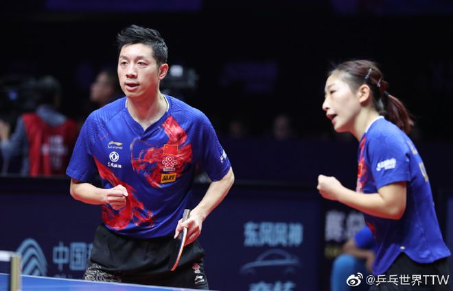 德国乒乓球队绝地反击瑞典乒乓球队，水谷隼制霸全场的简单介绍