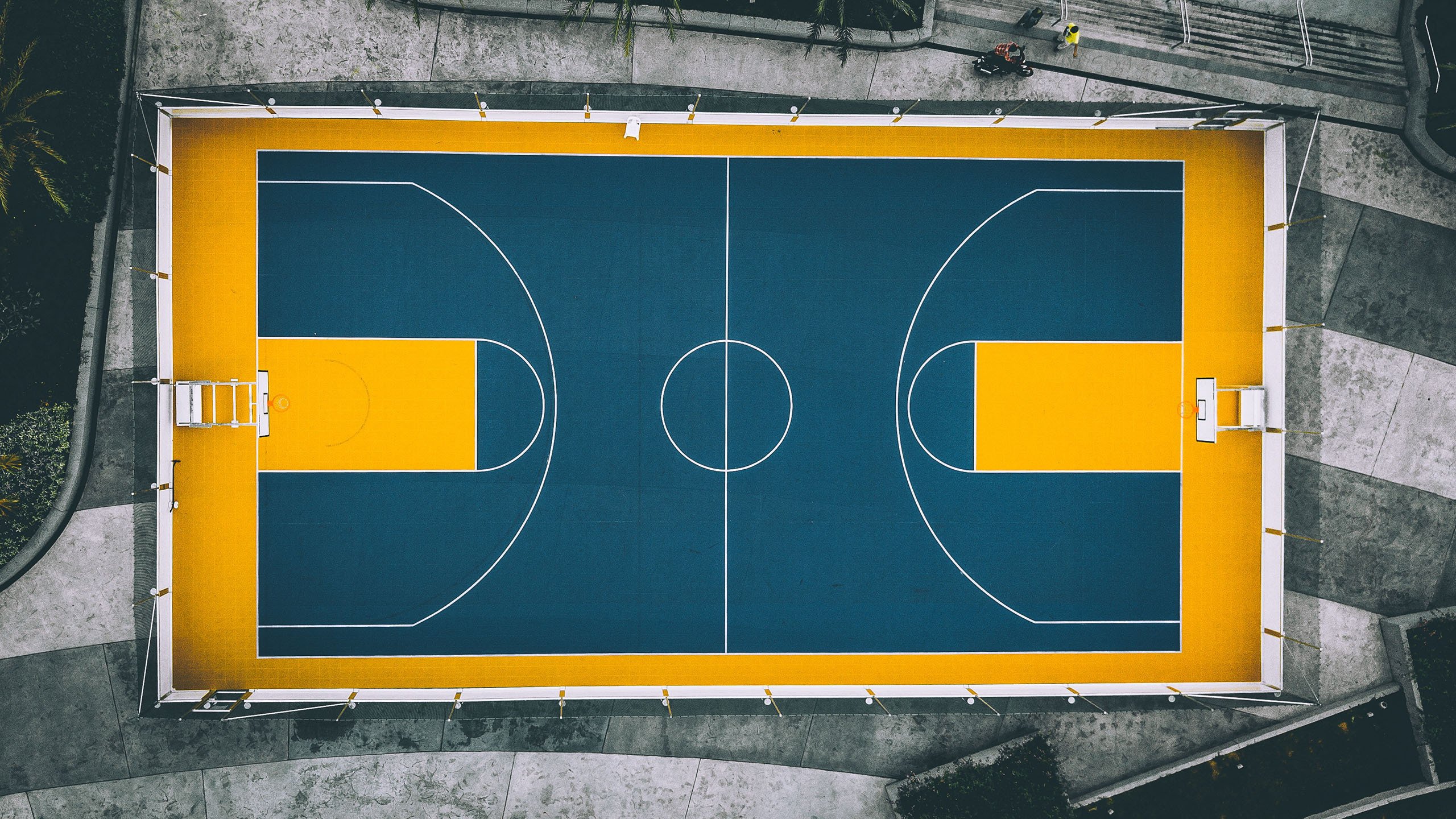 DB电竞官网登录-唯一之道,当罗德里戈的灵光劈开铁桶,瑞典与韩国的世界杯棋局只剩一种胜利
